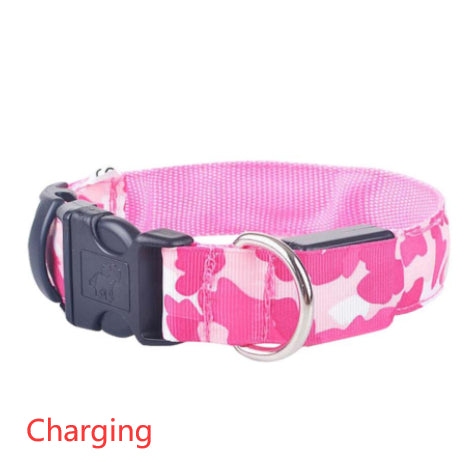 Collier Lumineux pour Chien Camouflage - LED Sécurité Nocturne, Réglable & Résistant - ToutouZEN