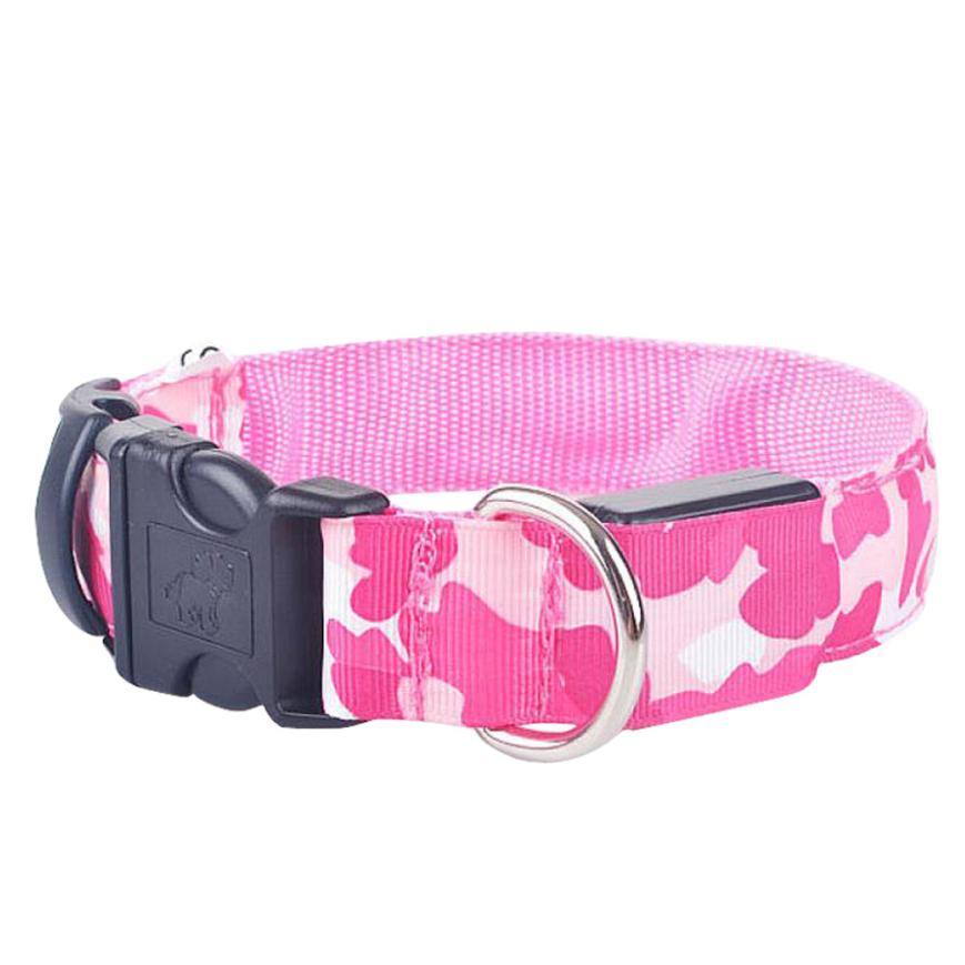 Collier Lumineux pour Chien Camouflage - LED Sécurité Nocturne, Réglable & Résistant - ToutouZEN