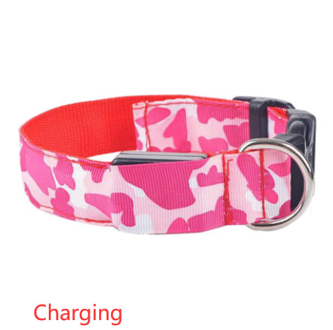 Collier Lumineux pour Chien Camouflage - LED Sécurité Nocturne, Réglable & Résistant - ToutouZEN