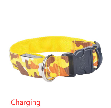 Collier Lumineux pour Chien Camouflage - LED Sécurité Nocturne, Réglable & Résistant - ToutouZEN