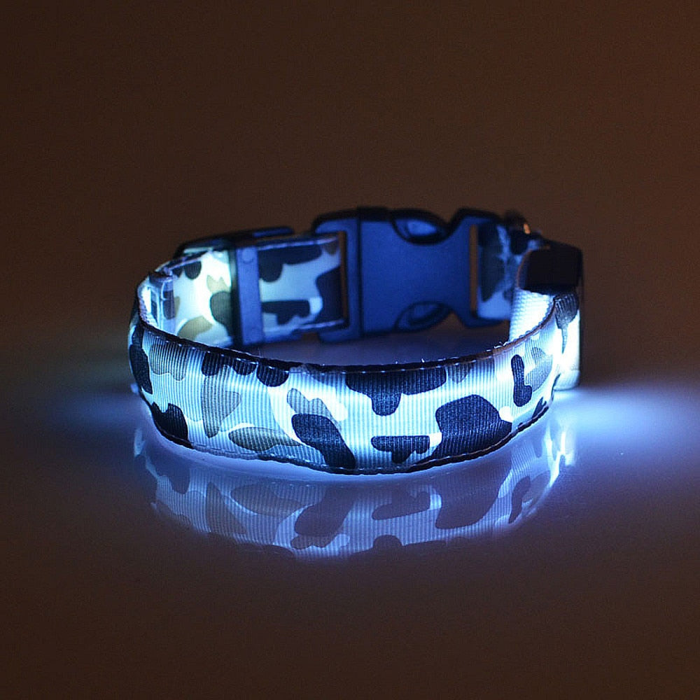 Collier Lumineux pour Chien Camouflage - LED Sécurité Nocturne, Réglable & Résistant - ToutouZEN