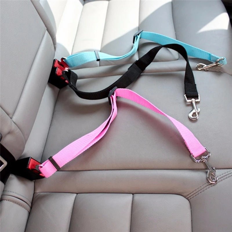 Ceinture de Sécurité pour Chien - Attache Voiture Réglable & Anti chocs - ToutouZEN