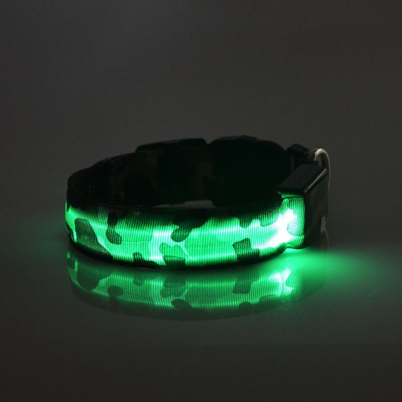 Collier Lumineux pour Chien Camouflage - LED Sécurité Nocturne, Réglable & Résistant - ToutouZEN