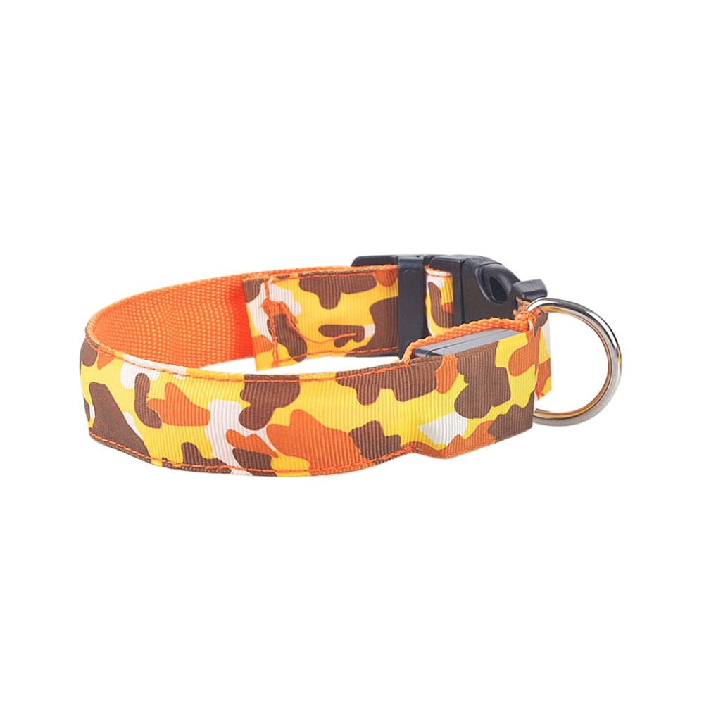 Collier Lumineux pour Chien Camouflage - LED Sécurité Nocturne, Réglable & Résistant - ToutouZEN