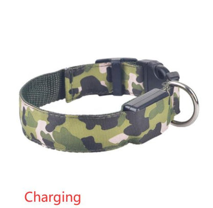 Collier Lumineux pour Chien Camouflage - LED Sécurité Nocturne, Réglable & Résistant - ToutouZEN