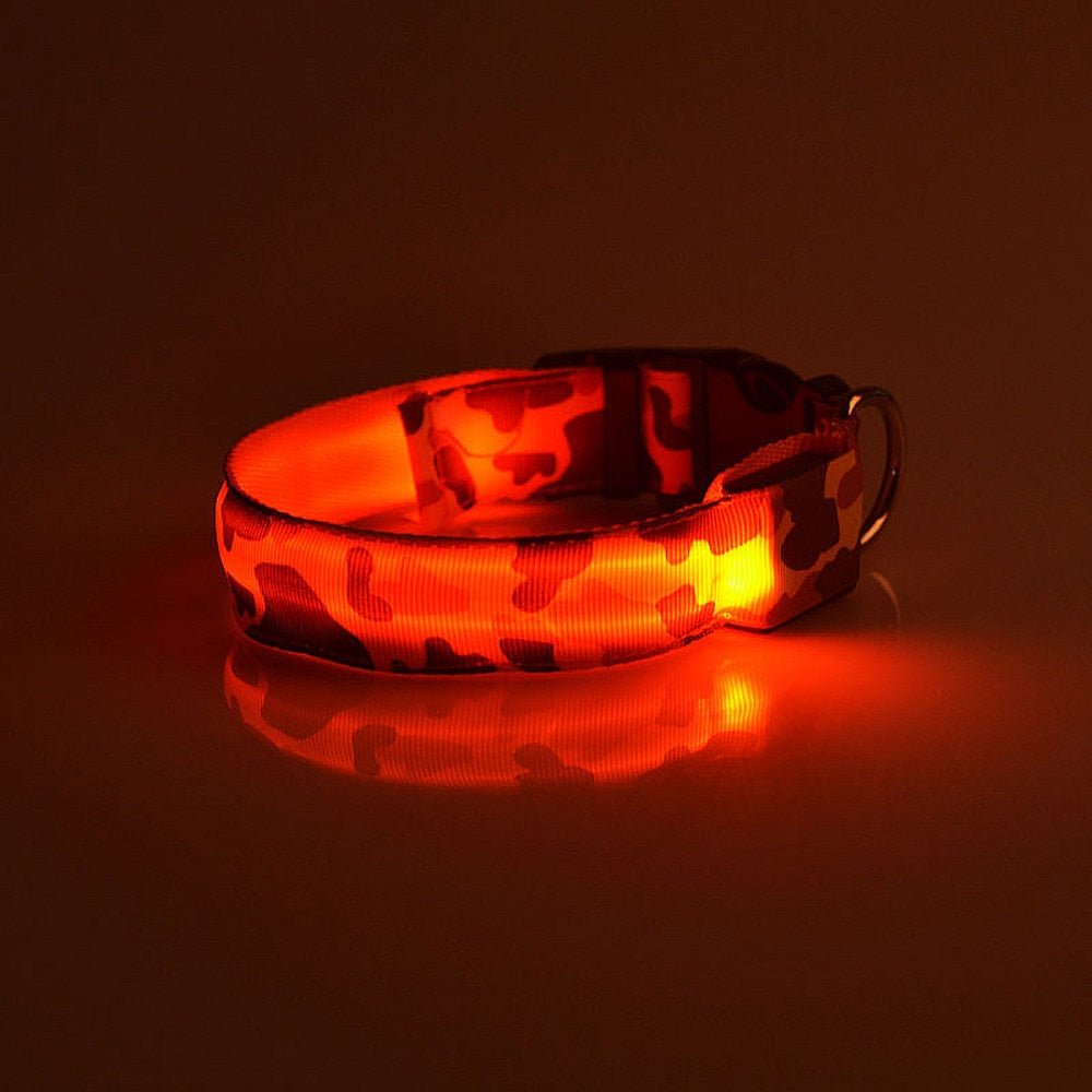 Collier Lumineux pour Chien Camouflage - LED Sécurité Nocturne, Réglable & Résistant - ToutouZEN