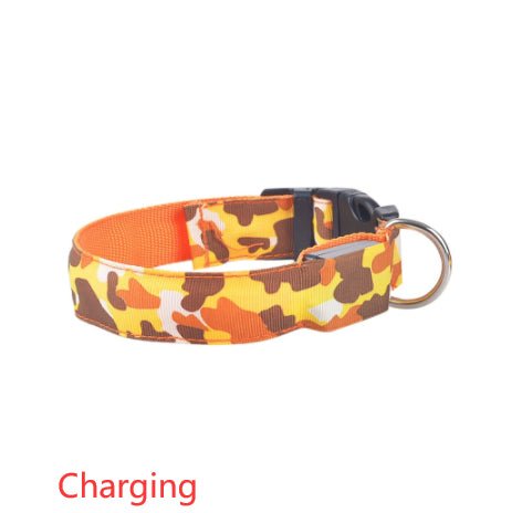 Collier Lumineux pour Chien Camouflage - LED Sécurité Nocturne, Réglable & Résistant - ToutouZEN