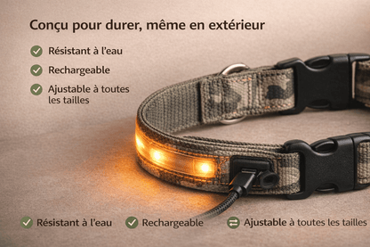 Collier Lumineux pour Chien Camouflage - LED Sécurité Nocturne, Réglable & Résistant - ToutouZEN