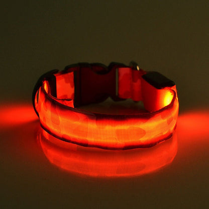 Collier Lumineux pour Chien Camouflage - LED Sécurité Nocturne, Réglable & Résistant - ToutouZEN