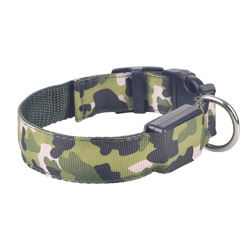 Collier Lumineux pour Chien Camouflage - LED Sécurité Nocturne, Réglable & Résistant - ToutouZEN
