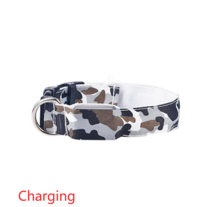 Collier Lumineux pour Chien Camouflage - LED Sécurité Nocturne, Réglable & Résistant - ToutouZEN