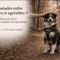 Harnais Anti Traction Personnalisé