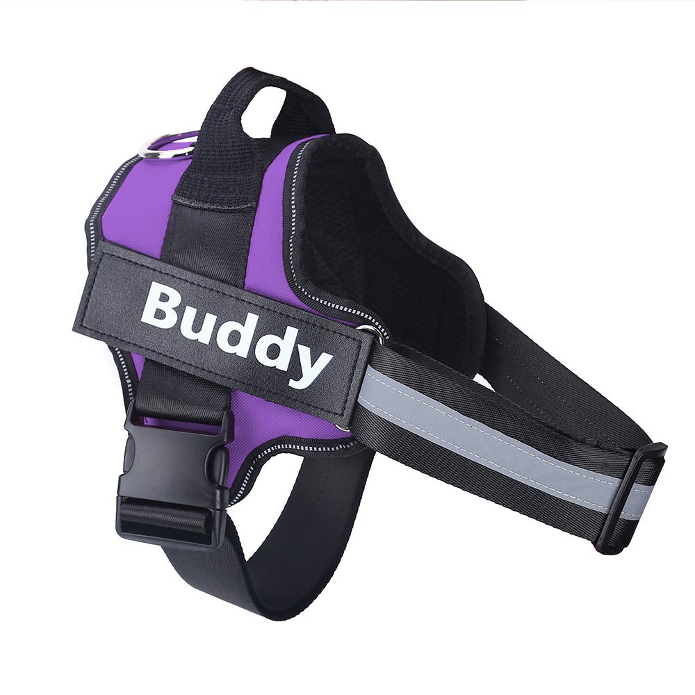 Harnais Anti Traction Personnalisé pour Chien - Confort & Sécurité - ToutouZEN