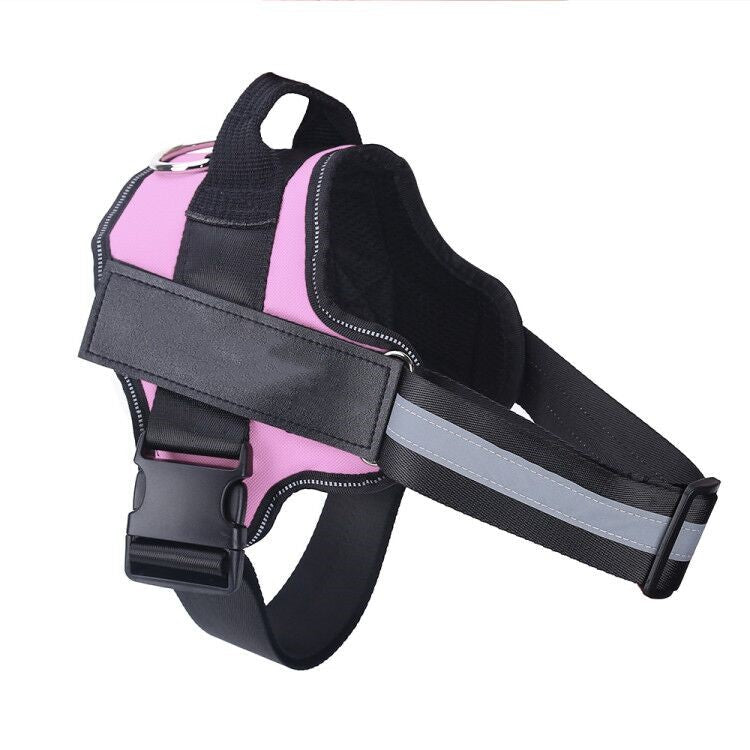 Harnais Anti Traction Personnalisé pour Chien - Confort & Sécurité - ToutouZEN
