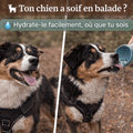 Gourde 3-en-1 pour Chien – Bouteille avec Gamelle