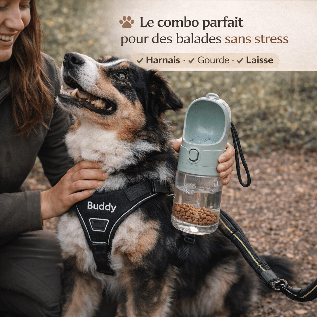 Harnais chien anti traction personnalisé – balades sans stress et contrôle total - ToutouZEN