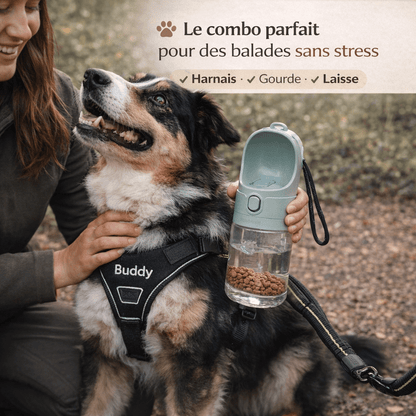 Harnais chien anti traction personnalisé – balades sans stress et contrôle total - ToutouZEN
