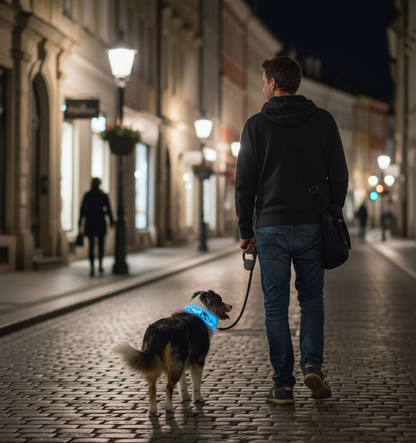 Collier Lumineux pour Chien Camouflage - LED Sécurité Nocturne, Réglable & Résistant - ToutouZEN