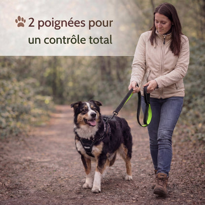 Laisse chien double poignée anti traction – reprends le contrôle en balade sans stress - ToutouZEN