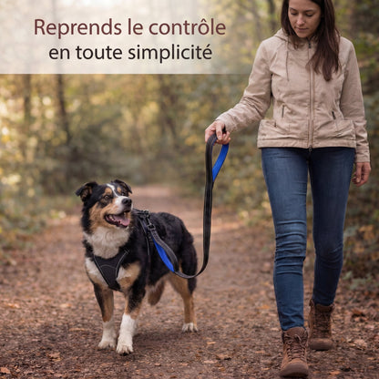 Laisse chien double poignée anti traction – reprends le contrôle en balade sans stress - ToutouZEN