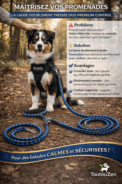 Laisse Double pour Deux Chiens | Promenade Sans emmêlement, Confort & Contrôle - ToutouZEN