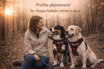 Laisse Double pour Deux Chiens | Promenade Sans emmêlement, Confort & Contrôle - ToutouZEN