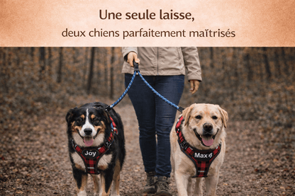 Laisse Double pour Deux Chiens | Promenade Sans emmêlement, Confort & Contrôle - ToutouZEN