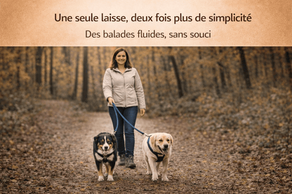 Laisse Double pour Deux Chiens | Promenade Sans emmêlement, Confort & Contrôle - ToutouZEN