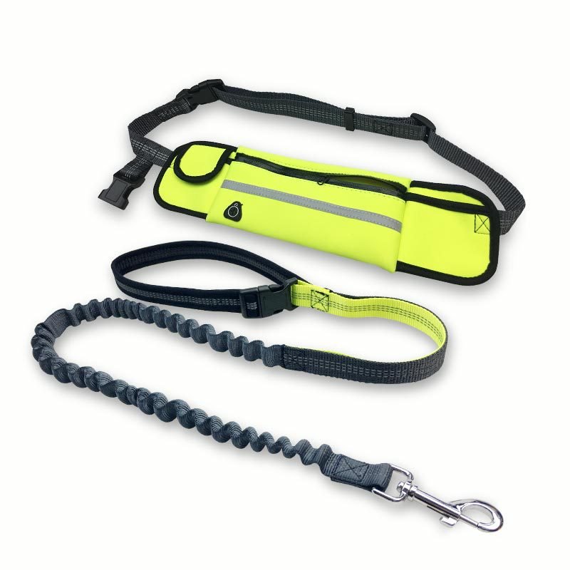 Laisse Running Mains Libres pour Chien - Sacoche intégrée, Balade & Sport - ToutouZEN