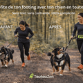 Laisse Running Mains Libres