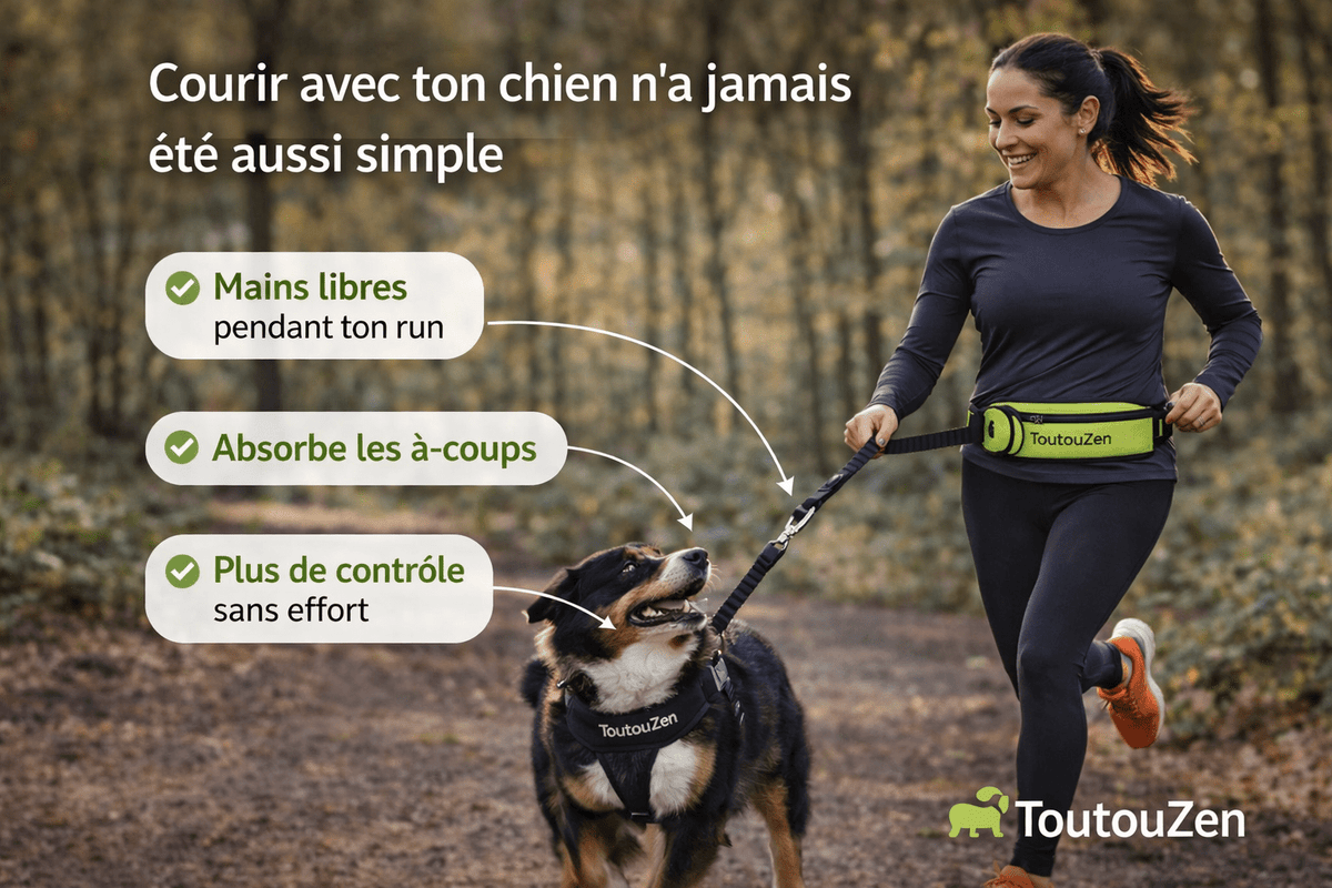 Laisse Running Mains Libres pour Chien - Sacoche intégrée, Balade & Sport - ToutouZEN