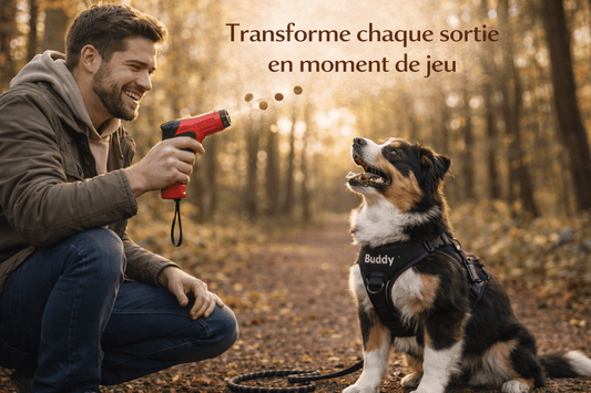 Lance Friandise Interactif pour Chien - Jeu Ludique, Exercice & Plaisir en Balade - ToutouZEN