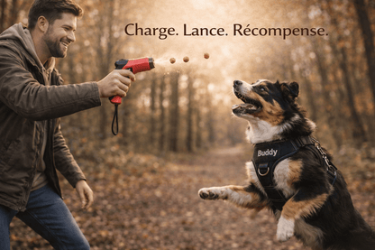 Lance Friandise Interactif pour Chien - Jeu Ludique, Exercice & Plaisir en Balade - ToutouZEN
